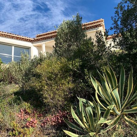Maison Avec Vue Panoramique Cavalaire-sur-Mer Exterior photo